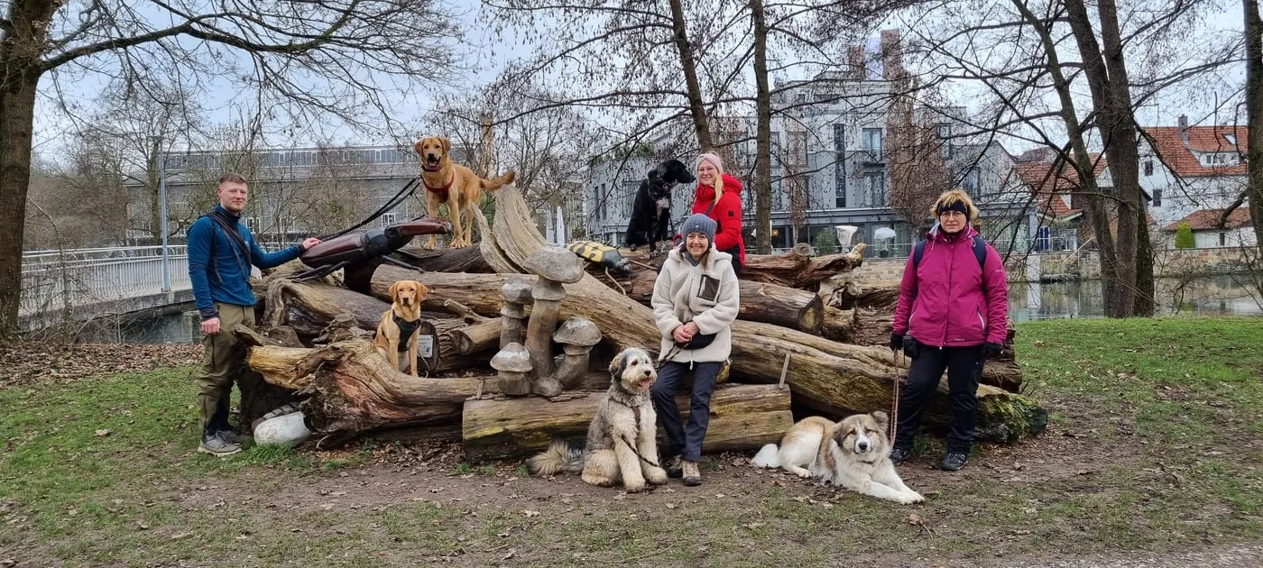 Gruppe mit ihren Hunden beim Stadttraining in Bietigheim, versammelt an einem großen Baumstamm-Arrangement mit geschnitzten Pilzen am Flussufer